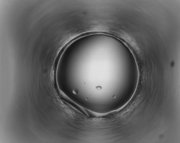 X0000098171268200805011005