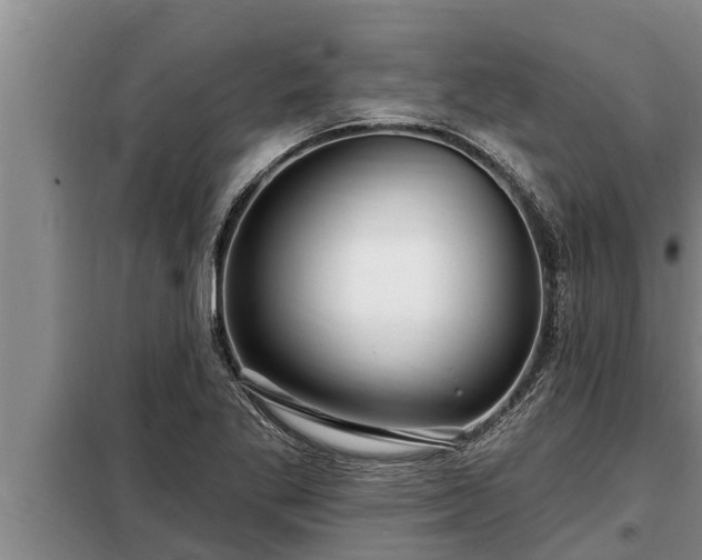 X0000098171269200805011005