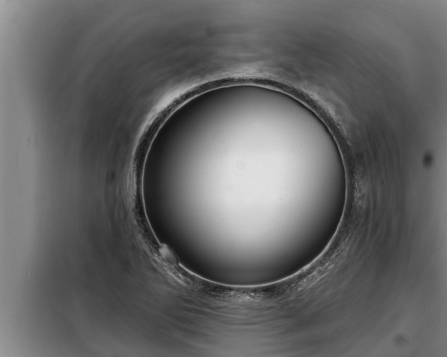 X0000098171270200805011005