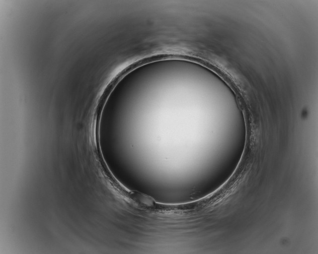 X0000098171272200805011005