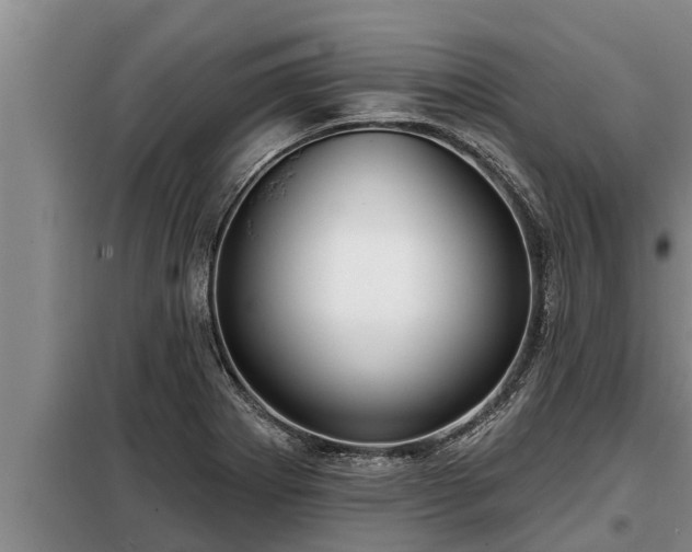 X0000098171273200805011005