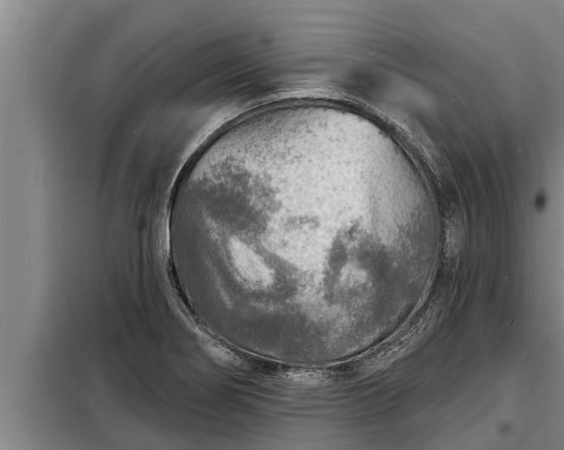 X0000098171274200805011005