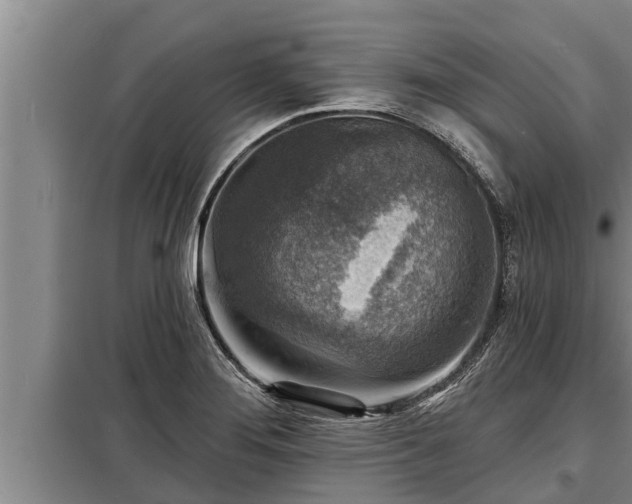 X0000098171276200805011005