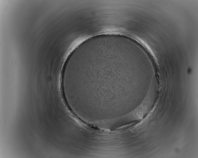 X0000098171277200805011005