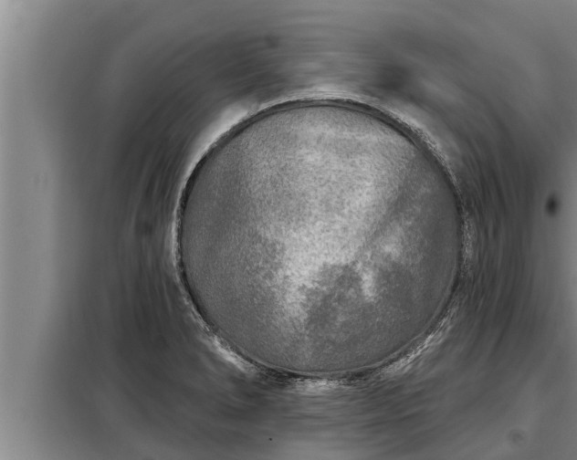 X0000098171278200805011005