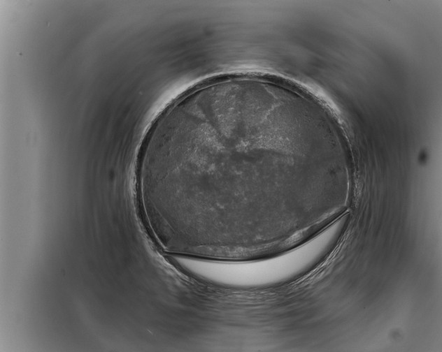 X0000098171279200805011005