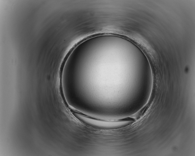 X0000098171280200805011005