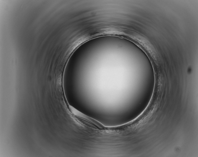 X0000098171281200805011005