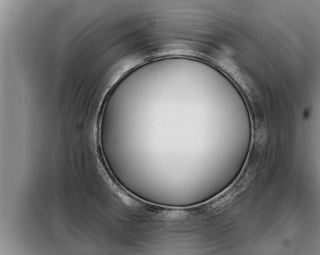 X0000098171282200805011005