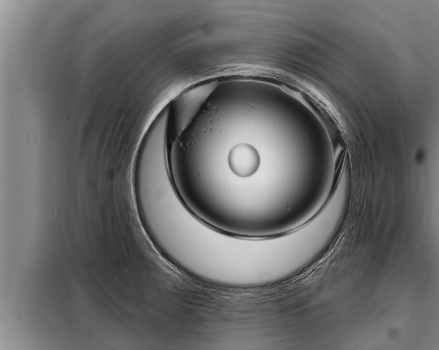 X0000098171283200805011005