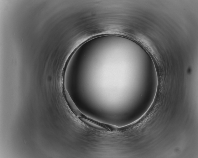 X0000098171284200805011005