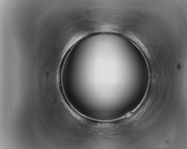 X0000098171285200805011005