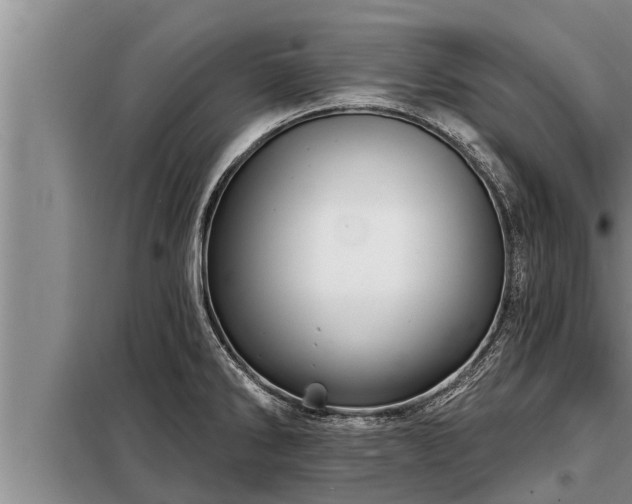 X0000098171286200805011005