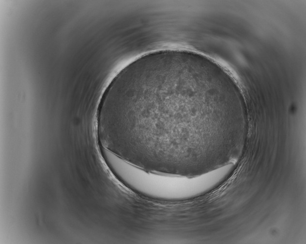 X0000098171287200805011005