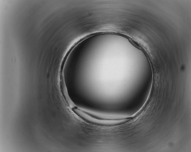 X0000098171288200805011005