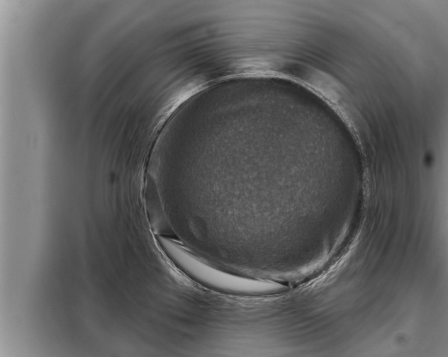 X0000098171289200805011005