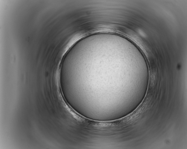 X0000098171290200805011005