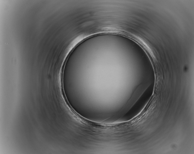 X0000098171291200805011005