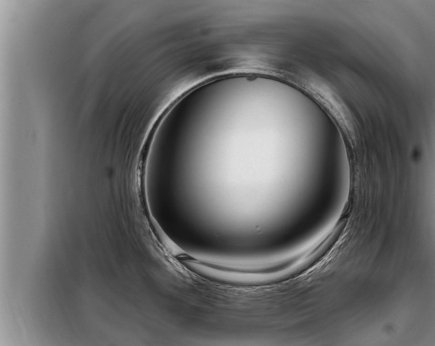 X0000098171292200805011005