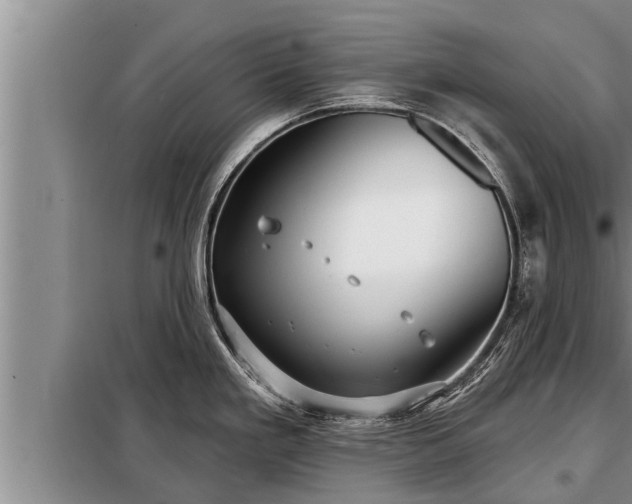 X0000098171293200805011005