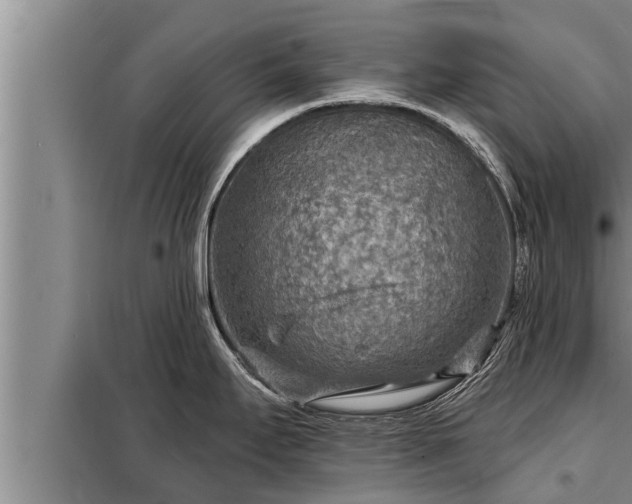 X0000098171295200805011005