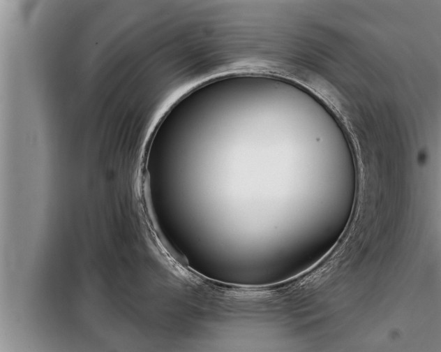 X0000098171296200805011005