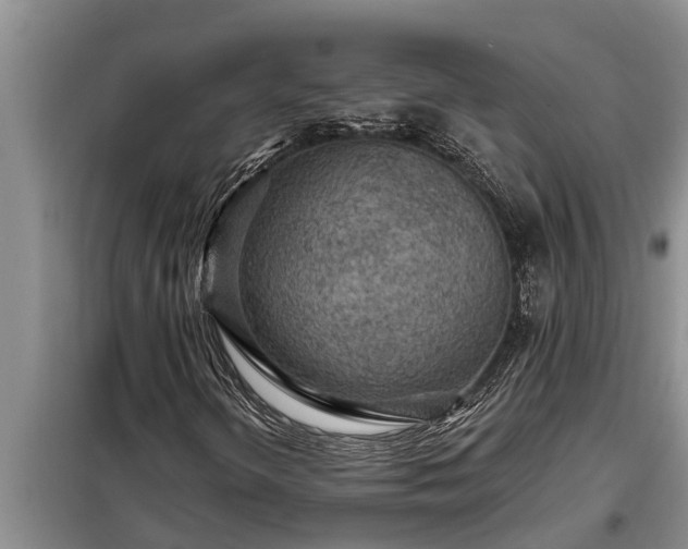 X0000098171298200805011004