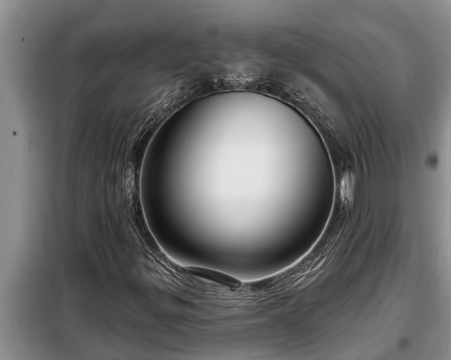 X0000098171299200805011004