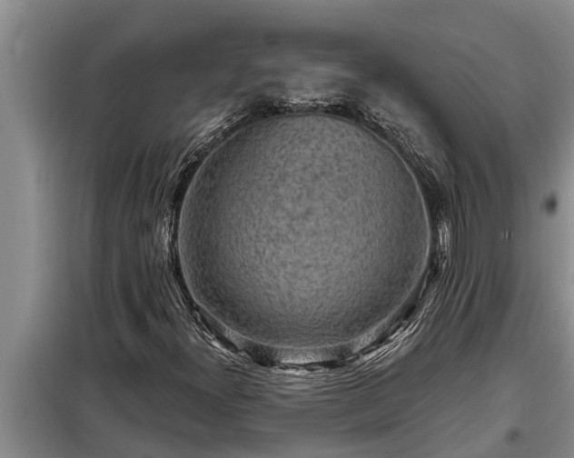 X0000098171300200805011004