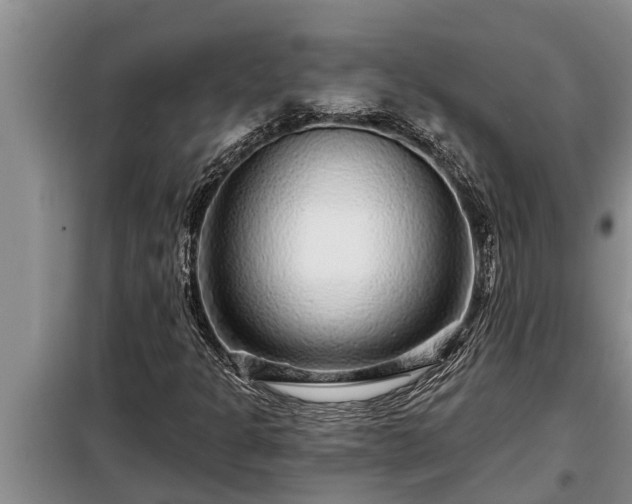 X0000098171301200805011004