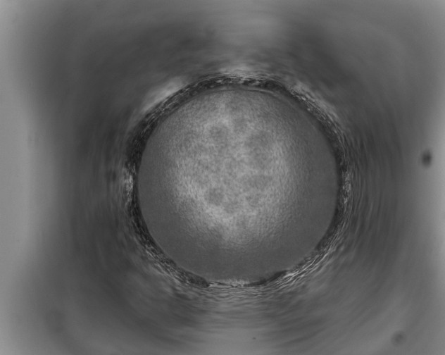 X0000098171302200805011004