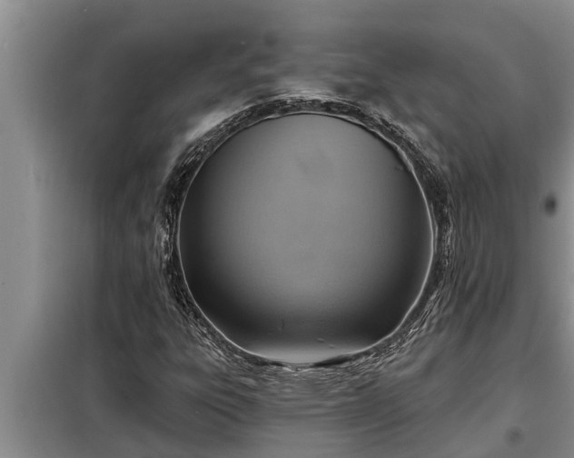 X0000098171303200805011004