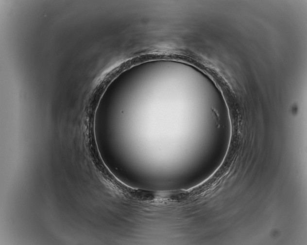 X0000098171304200805011004