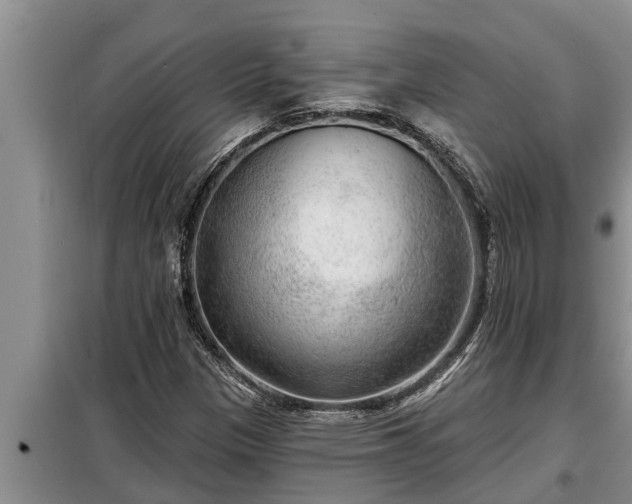 X0000098171305200805011004