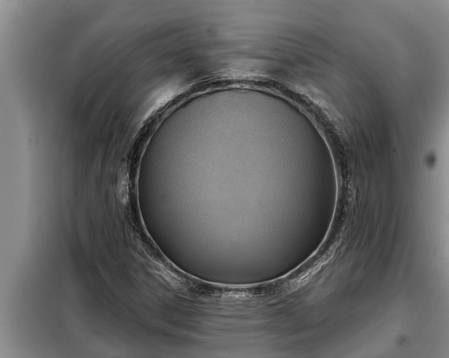 X0000098171306200805011004