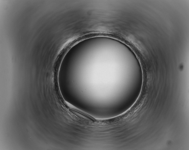 X0000098171307200805011004