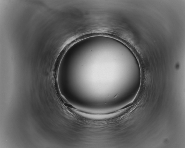 X0000098171308200805011004