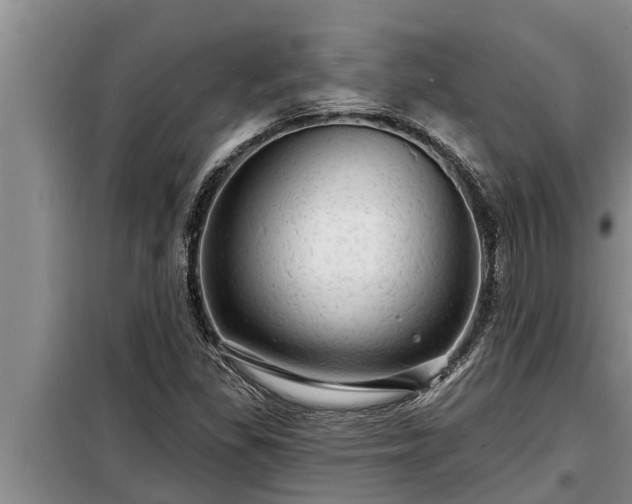 X0000098171309200805011004