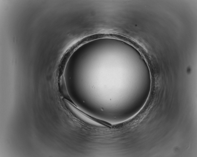 X0000098171311200805011004