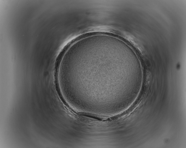 X0000098171312200805011005