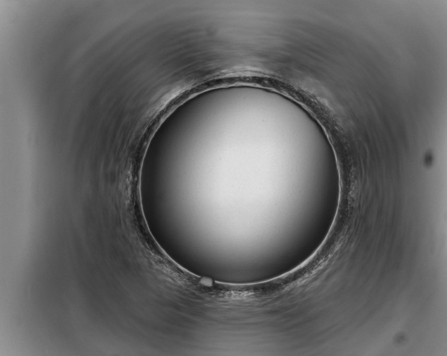 X0000098171313200805011005