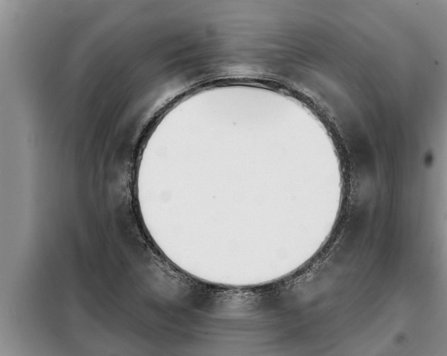 X0000098171314200805011005