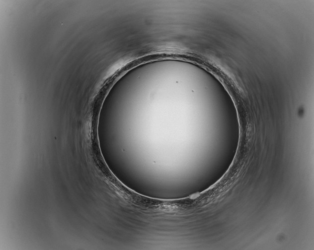 X0000098171315200805011005