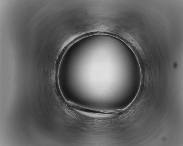 X0000098171316200805011005