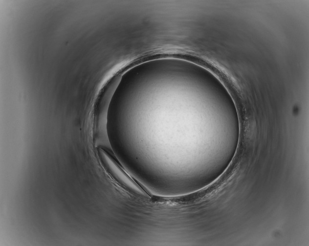 X0000098171317200805011005