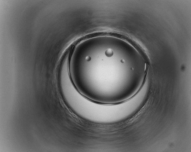 X0000098171318200805011005