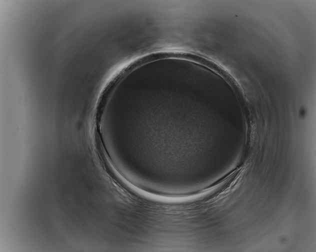 X0000098171319200805011005