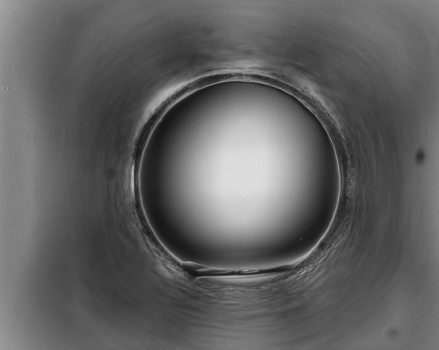 X0000098171320200805011005