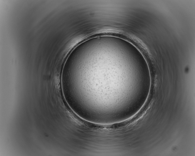 X0000098171321200805011005