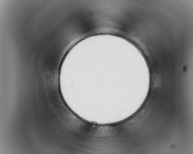 X0000098171322200805011005